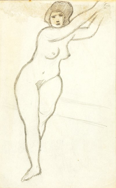 Nudo femminile in piedi da Carl Newman