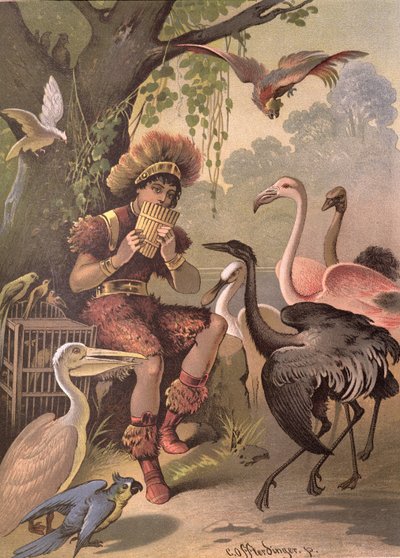 Papageno il cacciatore di uccelli (da 