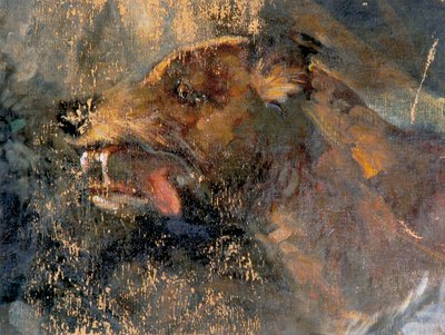 Testa di cane da Carl Rudolf Huber