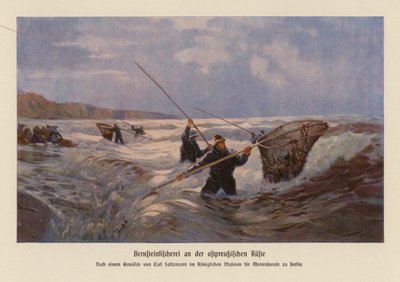 Raccolta di ambra nel Mar Baltico, Prussia Orientale da Carl Saltzmann