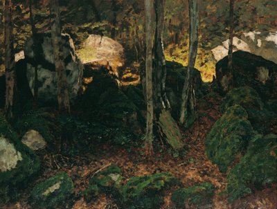 Interno del bosco presso Saut du Doubs da Carl Schuch