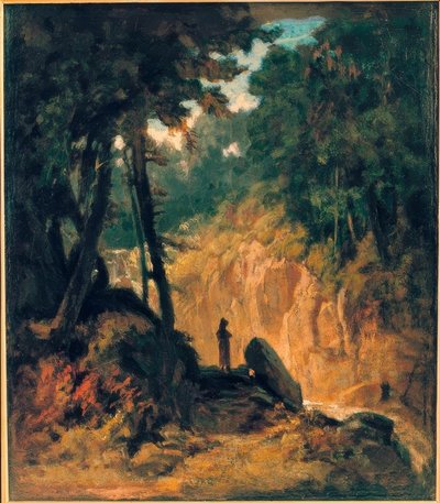Paesaggio boscoso con cascata, sulla riva con cappuccino da Carl Spitzweg