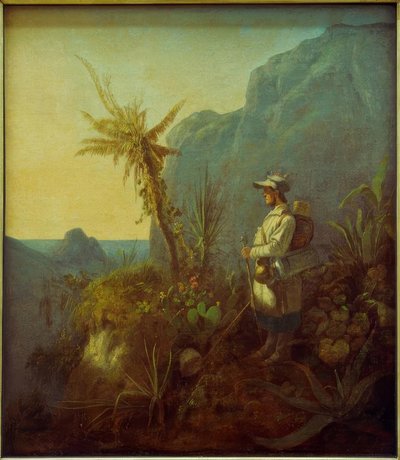 Il naturalista nei tropici da Carl Spitzweg