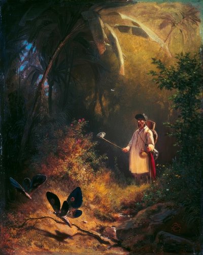 Il cacciatore di farfalle da Carl Spitzweg