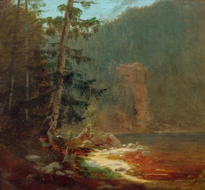 Gola rocciosa con ruscello vicino a Lenggries da Carl Spitzweg