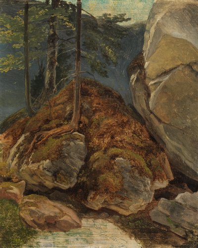 Studio a olio con roccia coperta di muschio da Carl Spitzweg