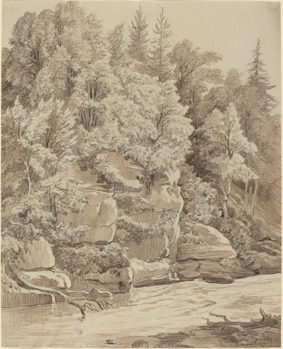 Scogli boscosi lungo un ruscello da Carl Wagner