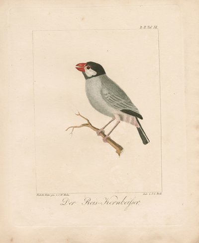  da Carl Wilhelm Hahn