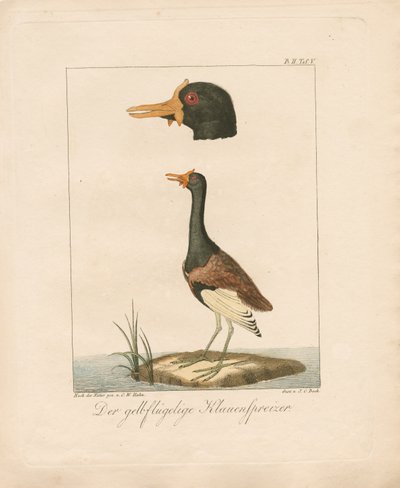  da Carl Wilhelm Hahn