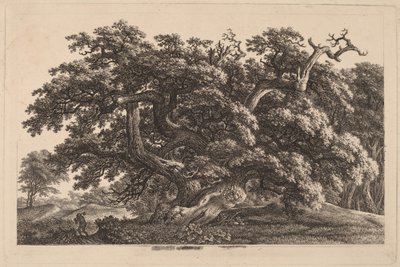 Una quercia che si espande ampiamente da Carl Wilhelm Kolbe