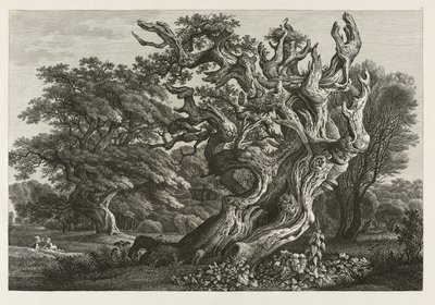 Grande quercia fantastica con un nido di cicogne da Carl Wilhelm Kolbe