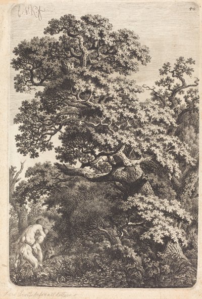Satiro e ninfa in una palude da Carl Wilhelm Kolbe