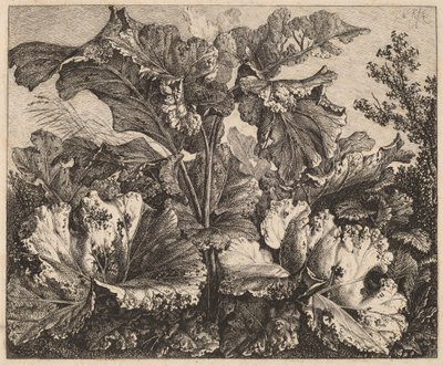 Piccolo studio di piante: una bardana, ciuffi delicati di erba a sinistra da Carl Wilhelm Kolbe