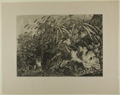 Mucca in piedi in una palude da Carl Wilhelm Kolbe, the elder