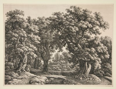 Paesaggio forestale da Carl Wilhelm Kolbe the elder