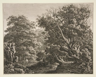 Paesaggio con albero nodoso da Carl Wilhelm Kolbe the elder