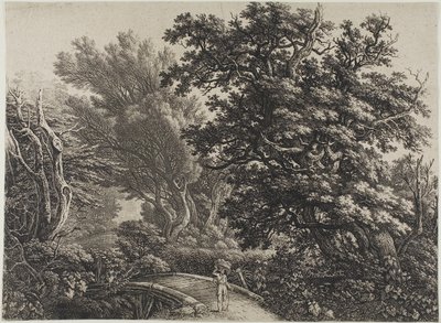 Ponte rustico in un bosco intricato da Carl Wilhelm Kolbe, the elder