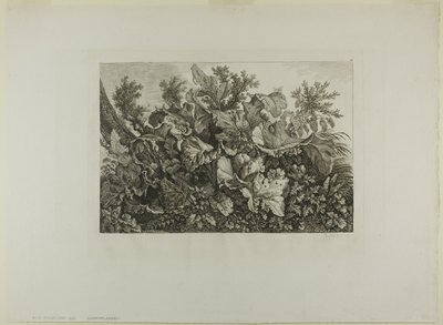 Piante di palude da Carl Wilhelm Kolbe, the elder