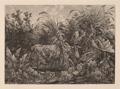 La Mucca nella Palude da Carl Wilhelm Kolbe, the elder