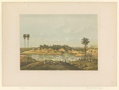Vista di un paesaggio vicino a Samarang da Carl Wilhelm Mieling (possibly)