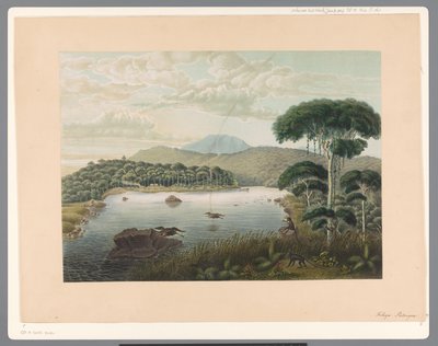 Vista sul lago Patenggang a Giava da Carl Wilhelm Mieling (possibly)