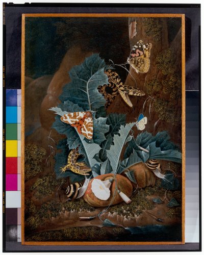 Natura morta del suolo forestale con lumache, serpenti, lucertole e farfalle da Carl Wilhelm de Hamilton