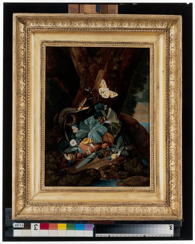 Natura morta del suolo della foresta con lumache, serpenti, lucertole e farfalle da Carl Wilhelm de Hamilton