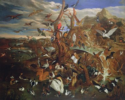 Il parlamento degli uccelli da Carl Wilhelm de Hamilton