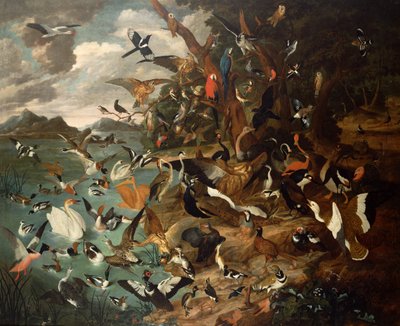 Il Parlamento degli Uccelli da Carl Wilhelm de Hamilton