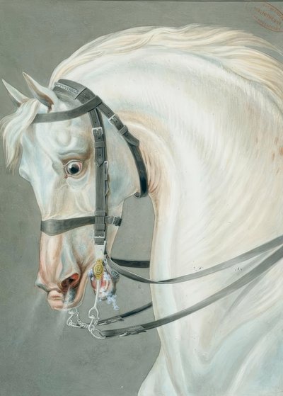 Briglia per i cavalli dei carabinieri da Carle Vernet