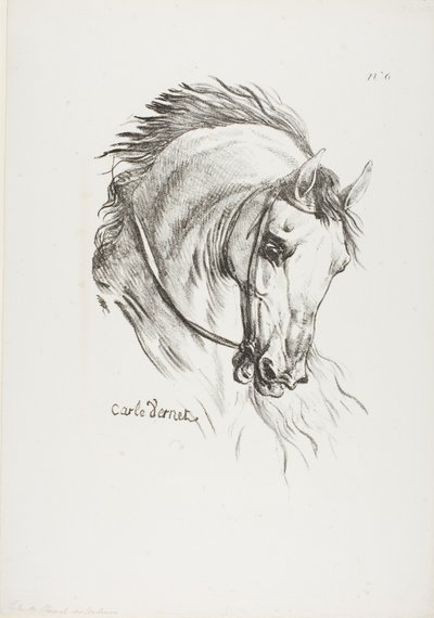 Particolare della testa di un cavallo, ingrandita a grandezza tripla, Hussard, Guardia Reale, n. 6 da Carle Vernet