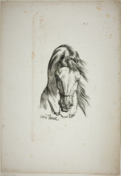 Particolare della testa di cavallo, ingrandita a grandezza tripla, Guardia Reale Normanna, n. 1 da Carle Vernet
