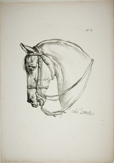 Particolare della testa di cavallo, ingrandita a grandezza tripla, Guardia Reale Normanna, n. 2 da Carle Vernet