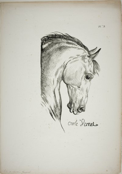 Particolare della testa di cavallo, ingrandita a grandezza tripla, Guardia Reale Normanna, n. 3 da Carle Vernet