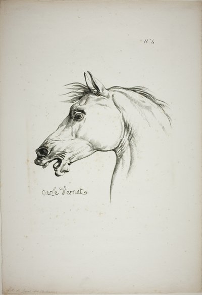 Particolare della testa di cavallo, ingrandita a grandezza tripla, Guardia Reale Normanna, n. 4 da Carle Vernet