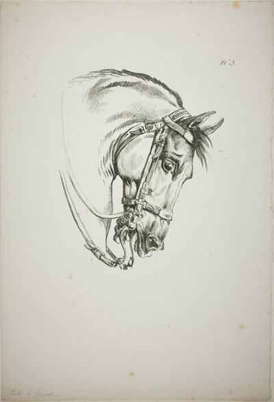 Particolare della testa di cavallo, ingrandita a grandezza tripla, Guardia Reale Normanna, n. 5, Primo Cavallo di Limoges da Carle Vernet