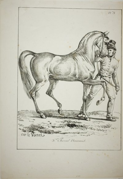 Guardia reale, cavaliere normanno, non in uniforme completa, e cavallo, n. 3 da Carle Vernet