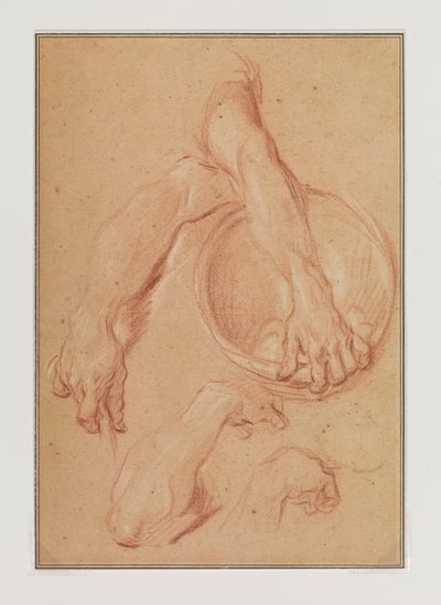 Studien eines Arms da Carle van Loo