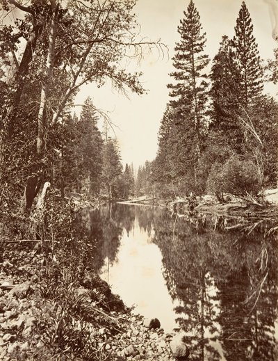 Fiume Merced, Yosemite, ca. 1872, stampato ca. 1876 da Carleton E. Watkins.