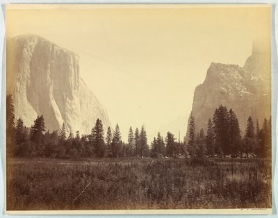 Su per la valle dal piede del sentiero Mariposa, Yosemite, n. 9 da Carleton E. Watkins