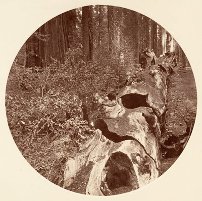 Auld Reckie da Carleton Emmons Watkins