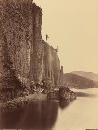 Capo Horn, fiume Columbia, Oregon, 1867 da Carleton Emmons Watkins