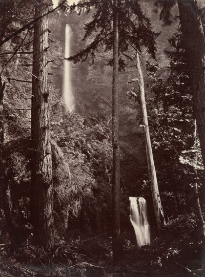 Cascate Multnomah, Oregon, 1867, stampato successivamente da Carleton Emmons Watkins