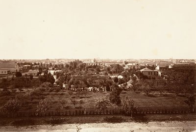 Oakland, dall