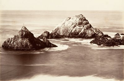 Seal Rocks, 1868-69, stampato ca. 1876 da Carleton Emmons Watkins