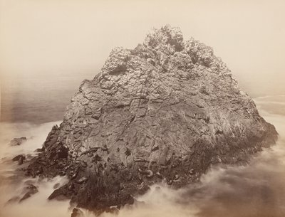 Isole Sugar Loaf, Farallons, 1868-69 da Carleton Emmons Watkins