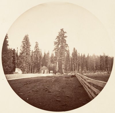 Le sentinelle da Carleton Emmons Watkins