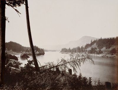 Vista sul Columbia, Cascades, 1867 da Carleton Emmons Watkins