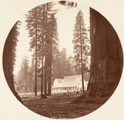 W. C. Bryant - Calaveras Grove da Carleton Emmons Watkins