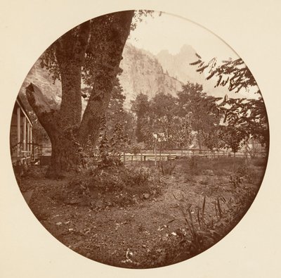 Parco Nazionale di Yosemite, California da Carleton Emmons Watkins